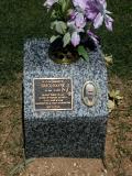 image of grave number 894701